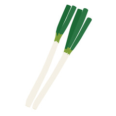 長ネギのシンプルなイラスト