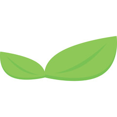 Two Light Green Leaves On A Transparent Background Simple Minimalist Botanical Element