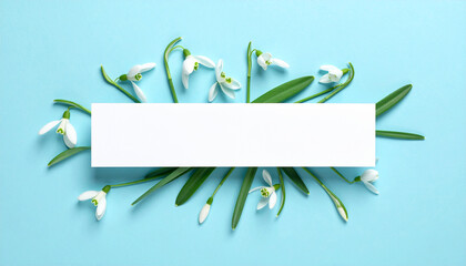 Snowdrop with a Blank Template: delicate snowdrop bloom and lush green leaves, a clean background with the crisp rectangular template. Capturing the essence of simplicity.