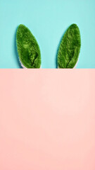 Easter Bunny's Playful Peek: A close-up shot of a pair of plush, vibrant green bunny ears set against a backdrop of soft pastel blue and pink, evoking feelings of joy and anticipation.