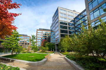 Office center of the city with high-rise buildings for company employees. Modern architecture, glass houses in the business center. Elements of greenery in the streets of the city.