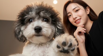 A curious black-and-white poodle dominates a low-angle photo, its paw reaching toward the lens in above, smiling warmly. Ceiling bulb overhead, realistic soft lighting, shallow depth, playful cinema