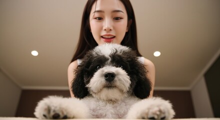 A curious black-and-white poodle dominates a low-angle photo, its paw reaching toward the lens in above, smiling warmly. Ceiling bulb overhead, realistic soft lighting, shallow depth, playful cinema