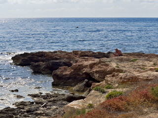 Man sitting on a cliff on a rugged coast surrounded by blue sea