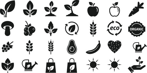Collection of organic food and nature icons representing healthy lifestyle and sustainability isolated on transparent background