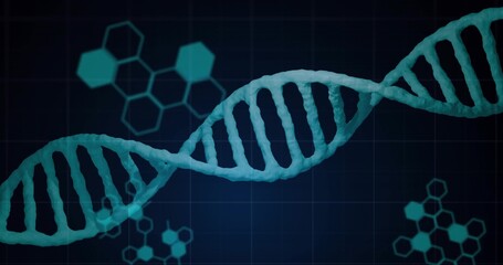 Rotating turquoise DNA double helix strand extending across blue grid, with teal hexagonal diagrams