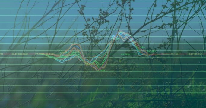 Fototapeta Displaying colored waveform overlay undulating on meadow hillside, with grid lines numeric labels