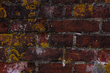 Old Brick Wall. Red Tiles and Lichen Background. 
