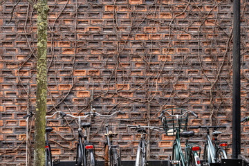 bicycle Copenhagen Denmark brick wall vines architecture urban texture sustainable design lineup of bikes against masonry combining everyday mobility with Scandinavian lifestyle.