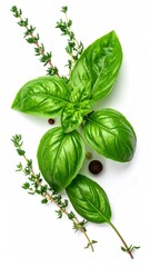 Fresh Basil and Thyme - Aromatic Herbs for Culinary Delights.