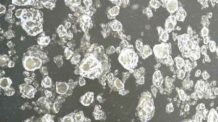 Top-down view of river covered with pancake ice. Chilly moody winter day. Scenic winter landscape.