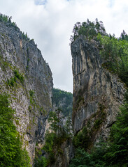 beautiful and dramatic landscape with mountain gorge and forest against a cloudy sky
