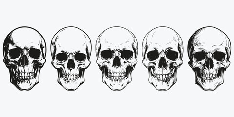 scull sketch illustration vector set