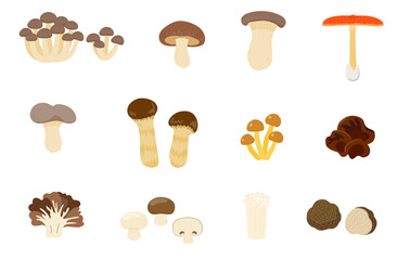 キノコの主線無しイラストのセット