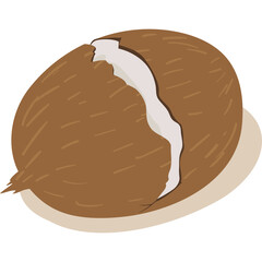 Illustration of a cracked coconut with visible white flesh and brown husk isolated on a transparent background showing a natural texture and a light shadow underneath