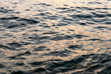 close-up view of sea water surface. water texture. calm water with gentle waves. sea waterline in warm sunset tones