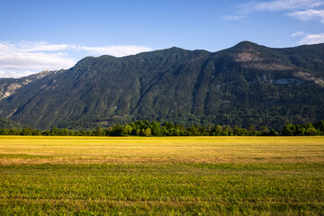 Fototapeta premium minimalist alpine landscape with agricultural field on mountain ridge background under clear sky. summer countryside background. aline landscape with golden