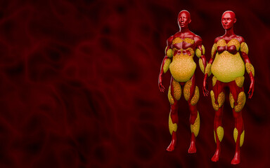 Health Concept of Obesity and Cardiovascular Risk from Visceral and Subcutaneous Fat Accumulation 3D Rendering