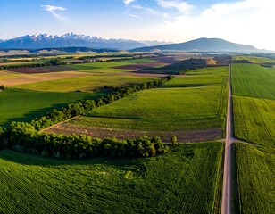 Aerial view of farmland, a road, and mountains under a blue sky