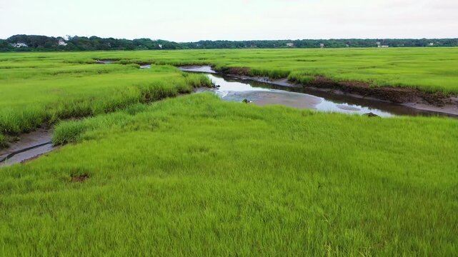 Drone video of Cape Cod marshes captures tidal channels, saltwater creeks, and lush wetlands, blending natural beauty with coastal textures in a cinematic overhead coastal perspective.