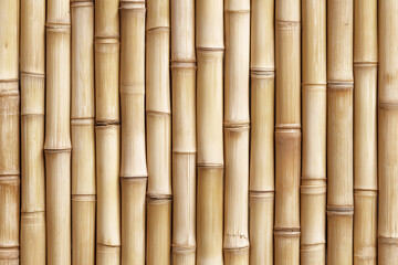 Fototapeta premium Natural bamboo wall vertical pattern background texture design