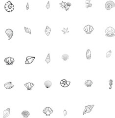 Seashell SVG Bundle