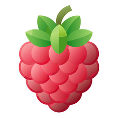 Illustration of a ripe raspberry with green leaves