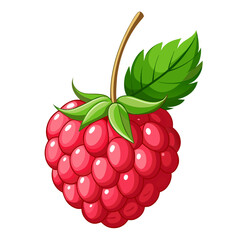 Illustration of a ripe raspberry with a leaf