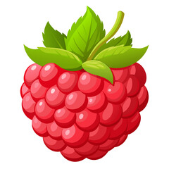 Illustration of a ripe and juicy raspberry