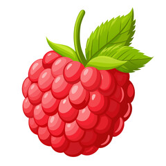 Illustration of a fresh raspberry with green leaves