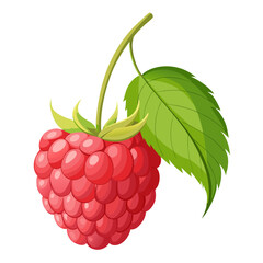 Illustration of a raspberry with a green leaf