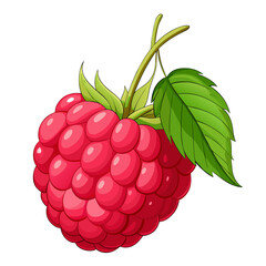 Illustration of a single raspberry with a leaf