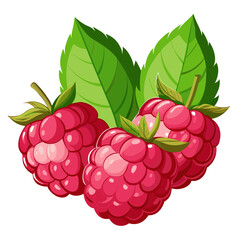 Three ripe raspberries with green leaves