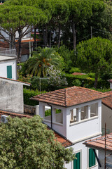 Viareggio, Italy, tiled roofs of houses among the trees. View of the city from above.