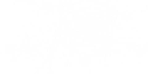 Png Electric Shock Lightning PNG Overlay on transparent background