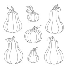 Elegant Pumpkin Line Art Collection for Autumn and Thanksgiving Designs.
