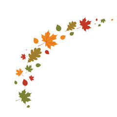 Autumn Leaves Cascade - A Colorful Seasonal Display.