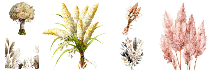 Diverse arrangement of decorative floral elements including pampas grass and bouquets, digitally rendered and isolated on transparent background