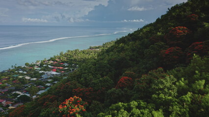 Fototapety na wymiar - Fototapeta24.pl