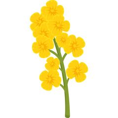 Isolated Vibrant Yellow Flower Branch with Green Stem on Transparent Background