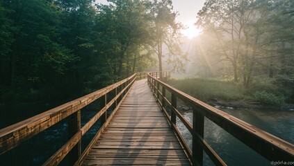 Wooden footbridge spanning stream in deciduous forest undergrowth, with handrails and morning mist