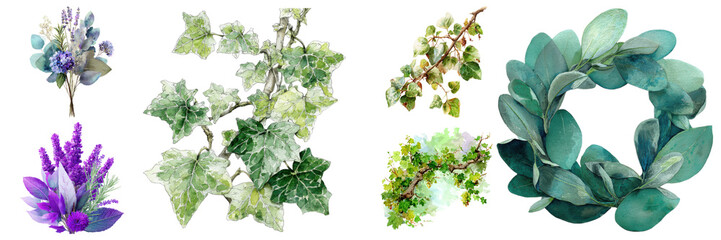 Assorted botanical elements featuring bouquets, foliage, and wreaths, creating organic arrangements with a natural and artistic feel on transparent background