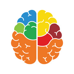 Abstract colorful human brain hemispheres lobes concept science education healthcare idea vector