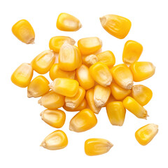 Fototapeta premium Fresh several vibrant yellow corn kernels or maize seeds scattered isolated on transparent background