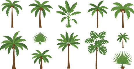 Cartoon tropical plants and trees including palms, bananas, and foliage, botanical comparison illustration, white background, landscaping and nature design