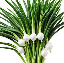 Close-up of fresh, white onions with green stalks against a black background