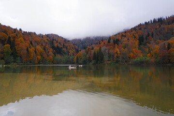Two small boats on the tranquil surface of a mountain lake, surrounded by a dense forest with vibrant autumn colors