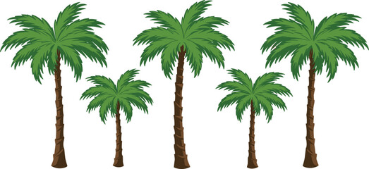 Cartoon palm tree set, tropical tree illustration, green frond vector, beach vegetation graphic, playful nature art, summer clipart © Liza