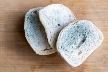 a slice of white bread covered with green mold, spoiled expired food