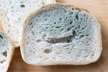 a slice of white bread covered with green mold, spoiled expired food